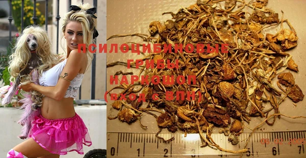 Альфа ПВП Липки